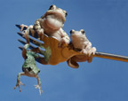 Frogs